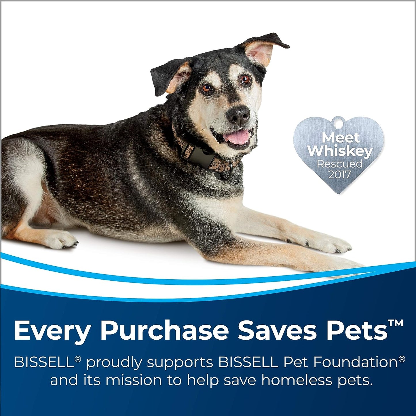 Bissell Turbo Clean Power Brush Lightweight Pet Carpet Cleaner